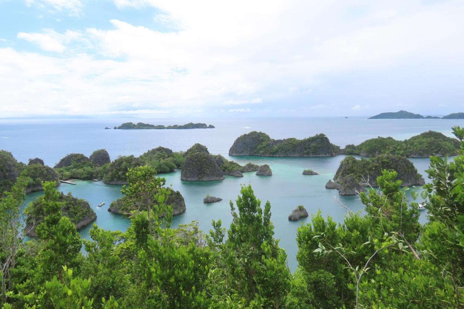 Nyanse Homestay - Raja Ampat Besir Luaran gambar