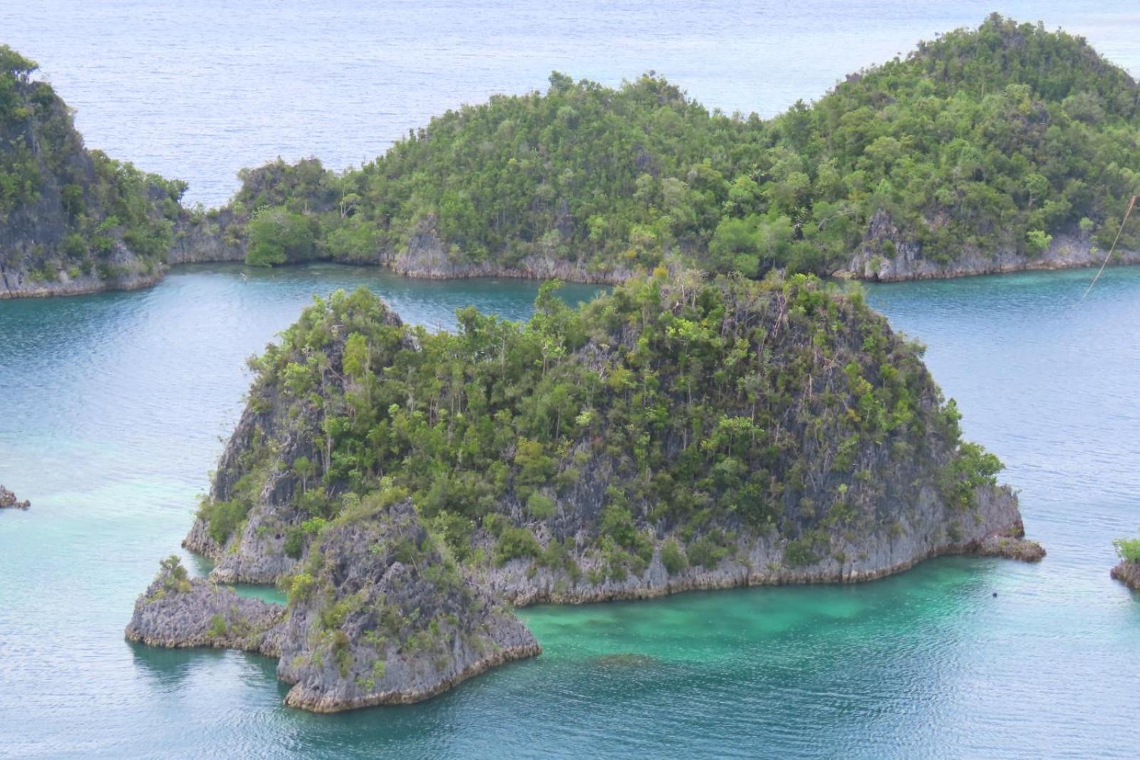 Nyanse Homestay - Raja Ampat Besir Luaran gambar