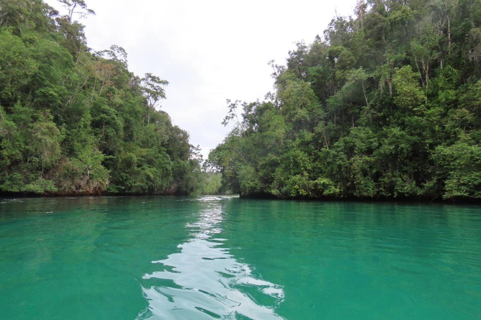 Nyanse Homestay - Raja Ampat Besir Luaran gambar