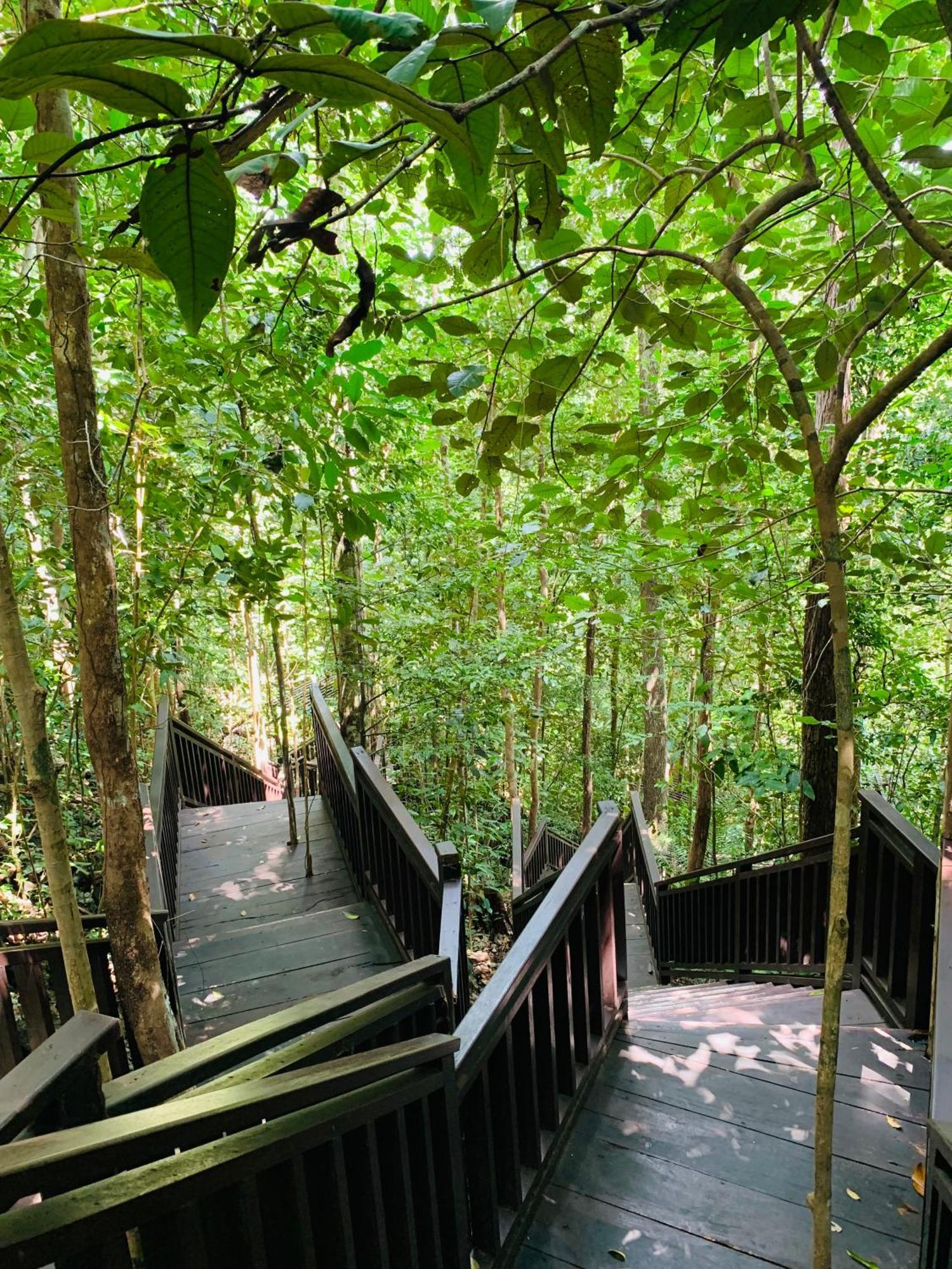 Nyanse Homestay - Raja Ampat Besir Luaran gambar