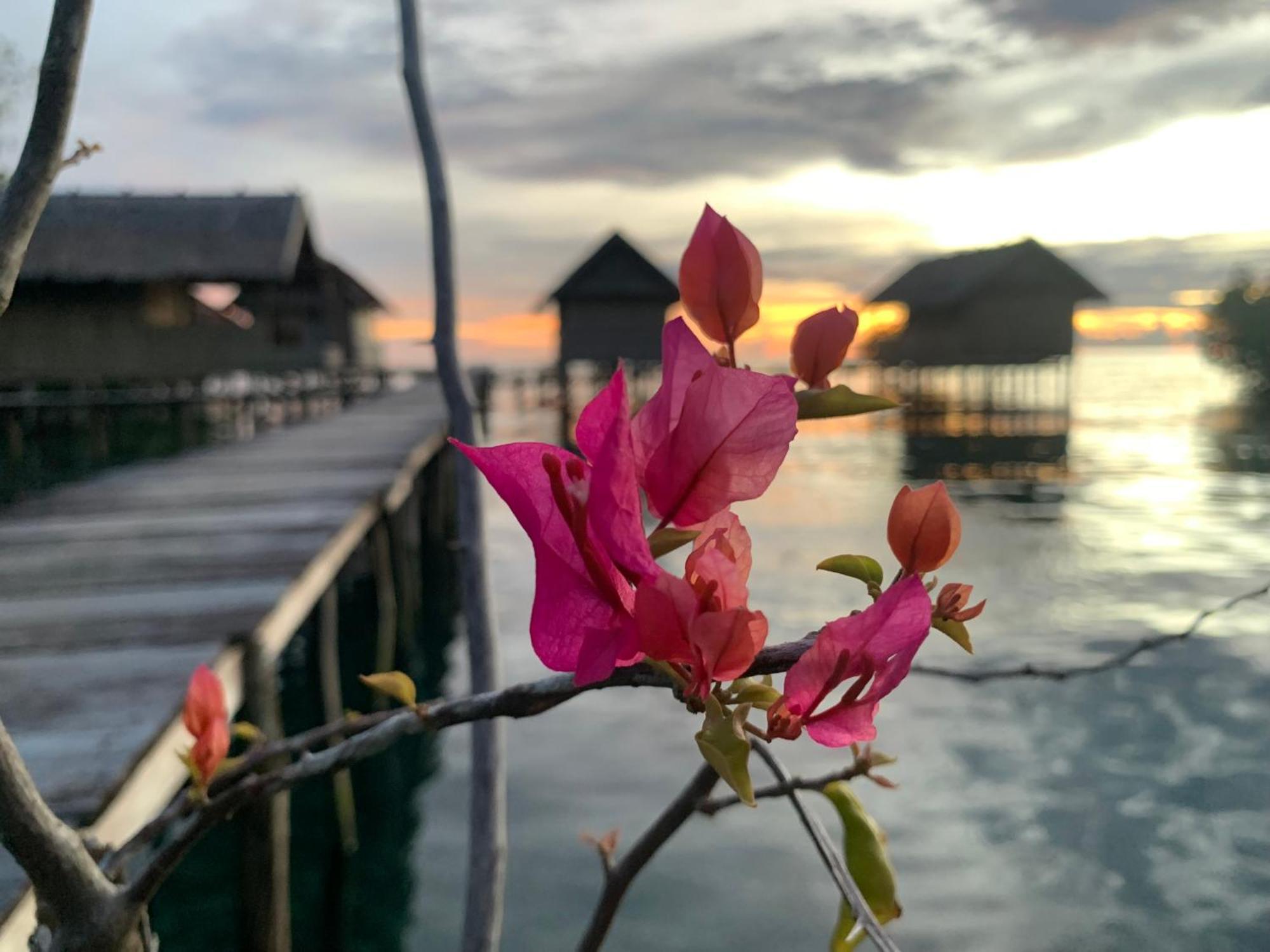 Nyanse Homestay - Raja Ampat Besir Luaran gambar